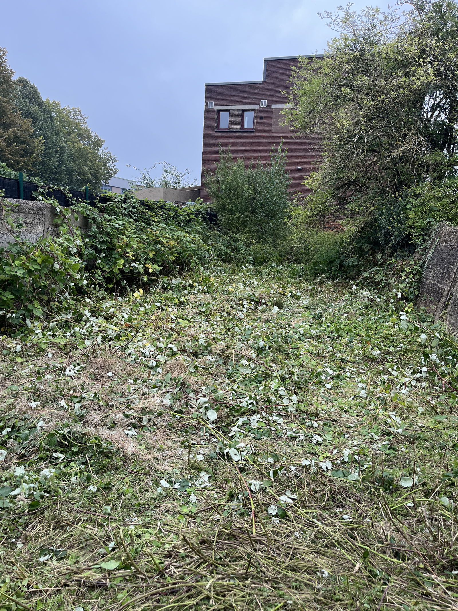 Życie Charleroi 445987