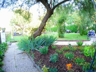 Niezależne Studio Ornex 256236