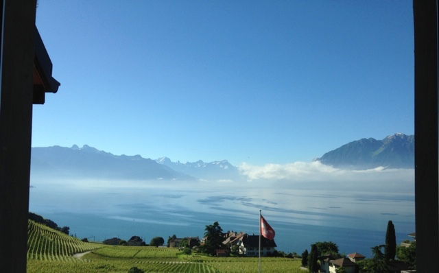 Kolokacja Rivaz 240606