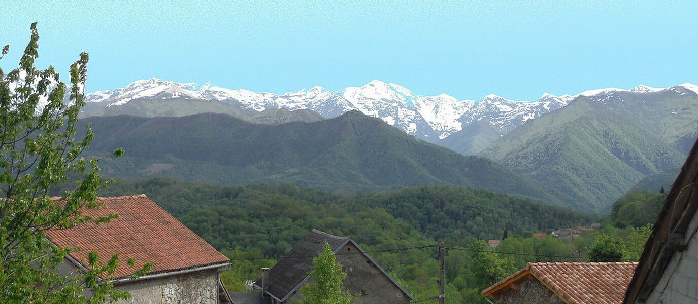 Kolokacja Soulan 230684