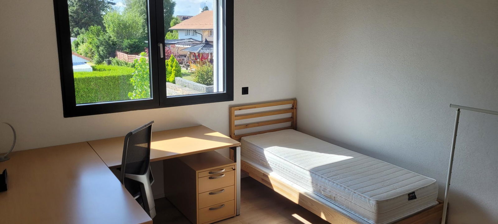 Kolokacja Cugy 545088