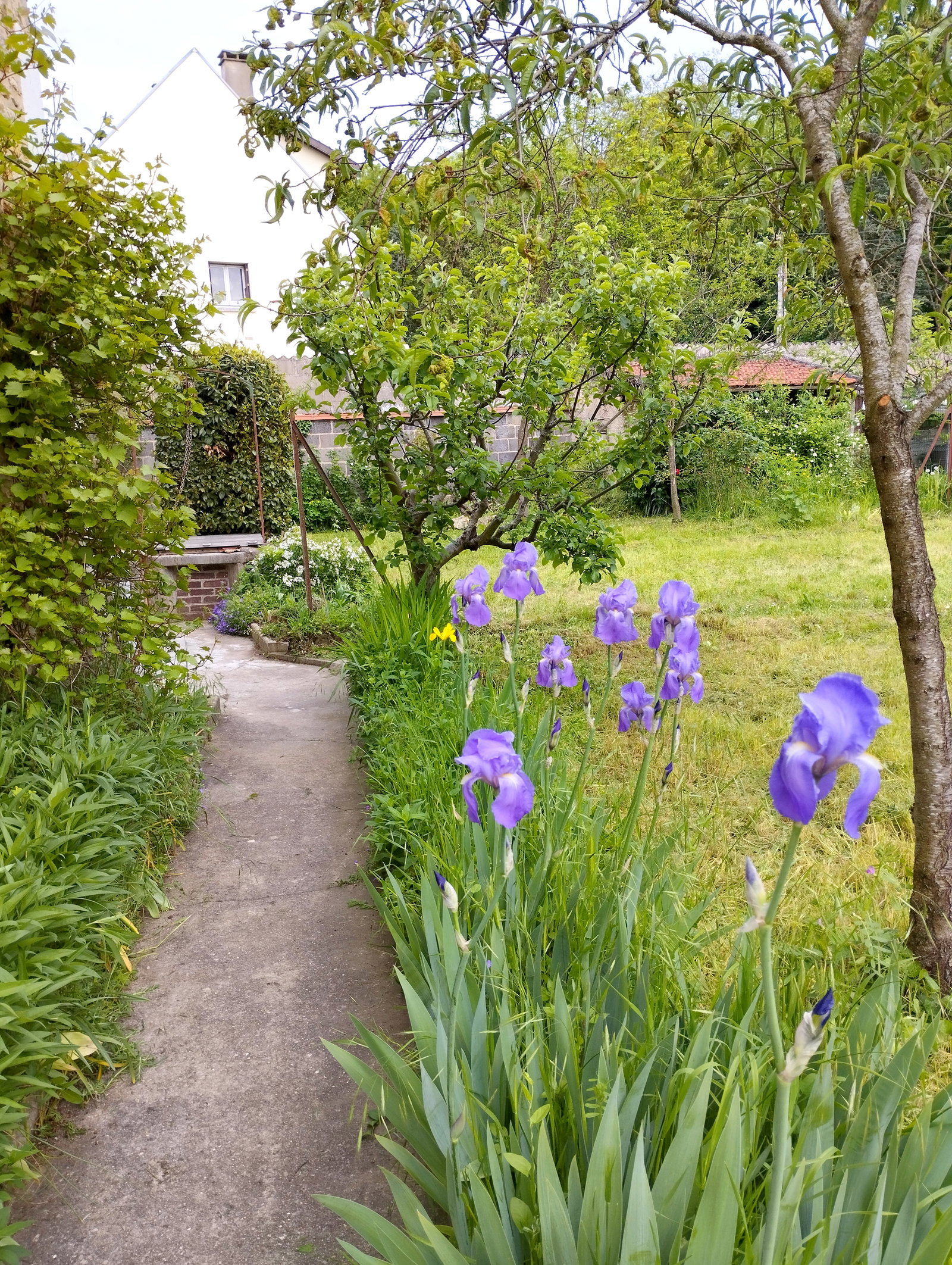 Życie Draveil 658369