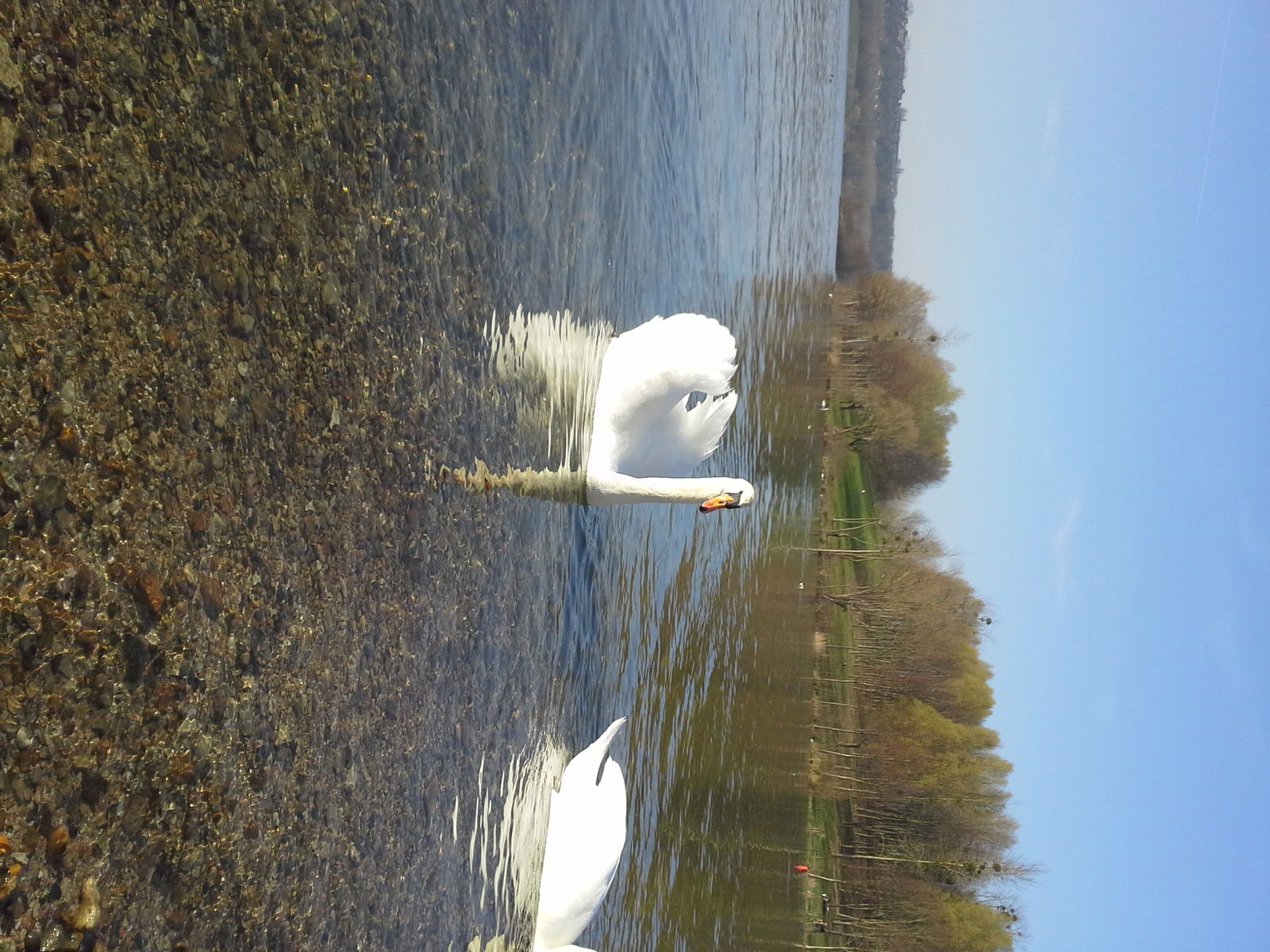 Kolokacja Cergy 123063