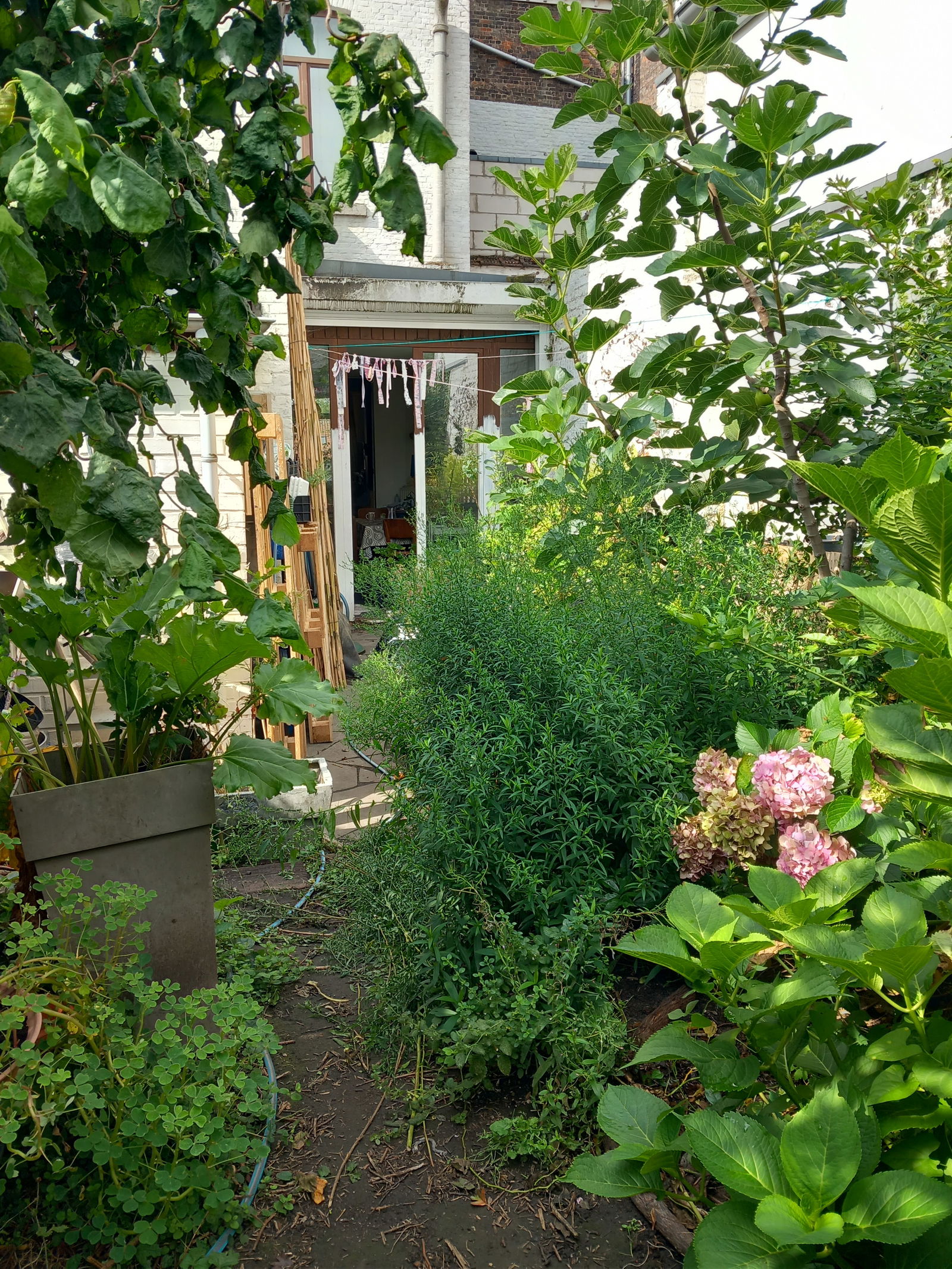 Kolokacja Namur 117560