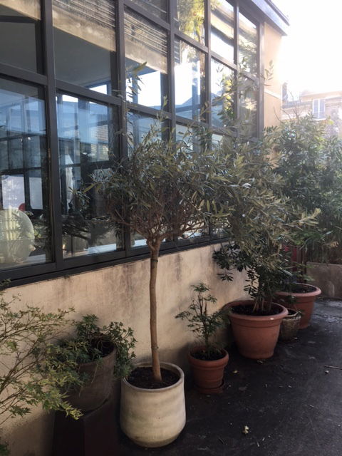 Zakwaterowanie U Rodziny Argenteuil 148561