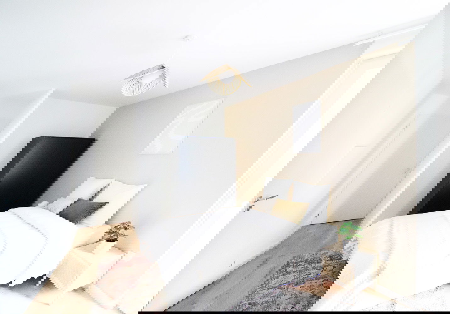 Kolokation Schiltigheim 264897