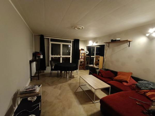 Gastfamilie Stains 408215