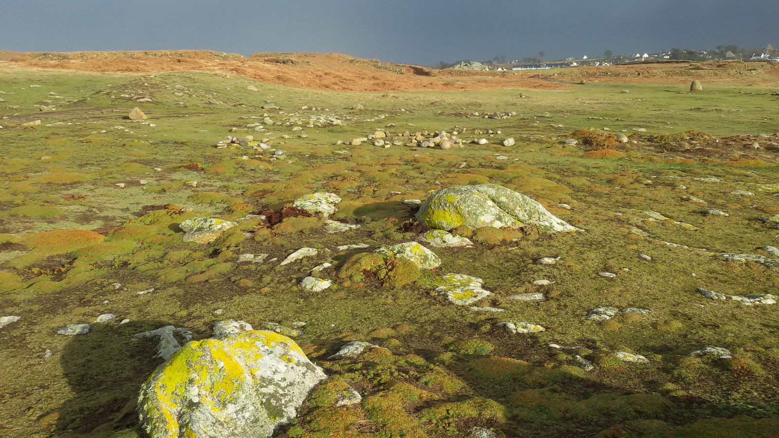 Zakwaterowanie U Rodziny Ploudalmézeau 122519