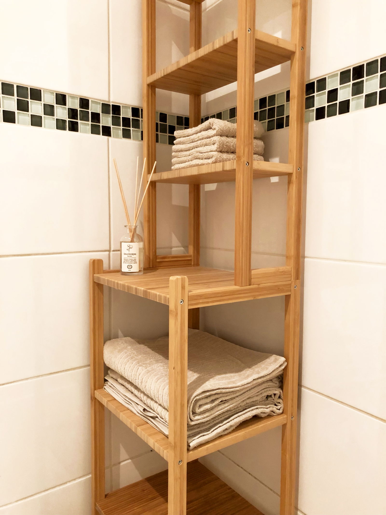 Niezależne Studio Forest 257025