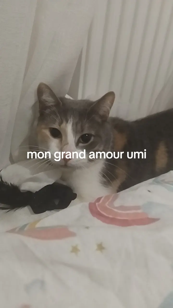 Współdzielone Mieszkanie Bourg-en-Bresse 669872