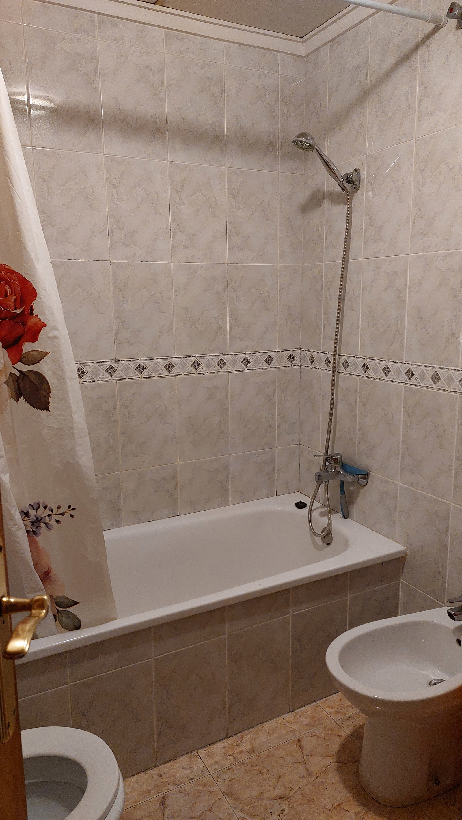 Kolokacja Torrevieja 560252