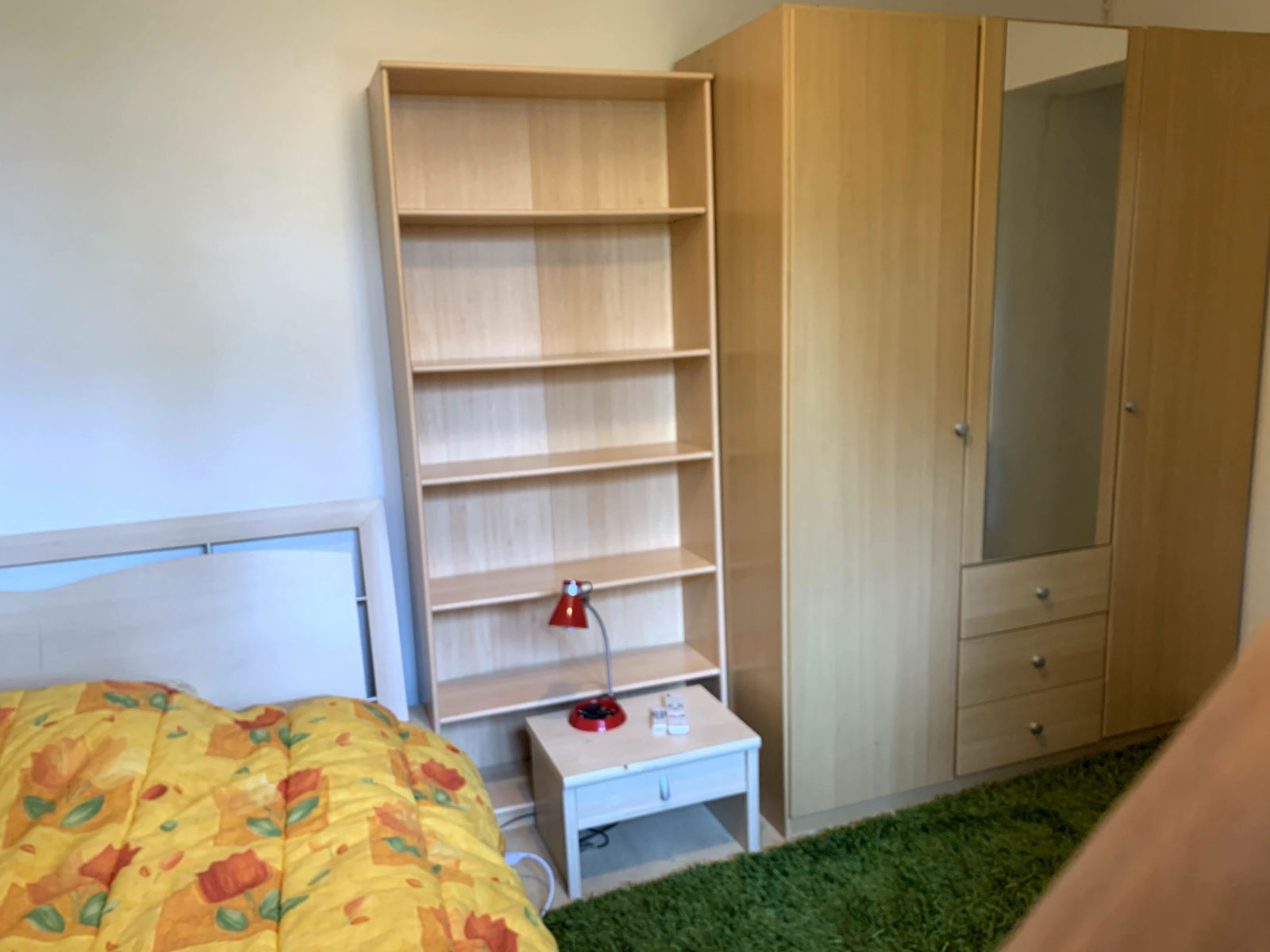 Colocatie Ferney-Voltaire 256501