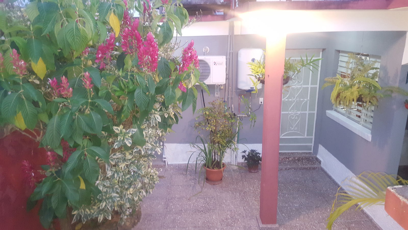 Famiglia Viñales 203554