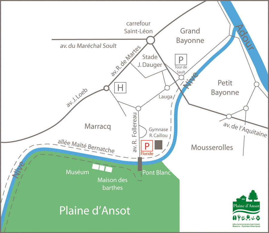 Colocation Bayonne 251507