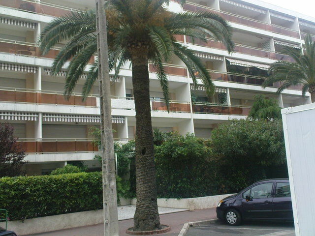 Itsenäinen Studio Cannes 45693