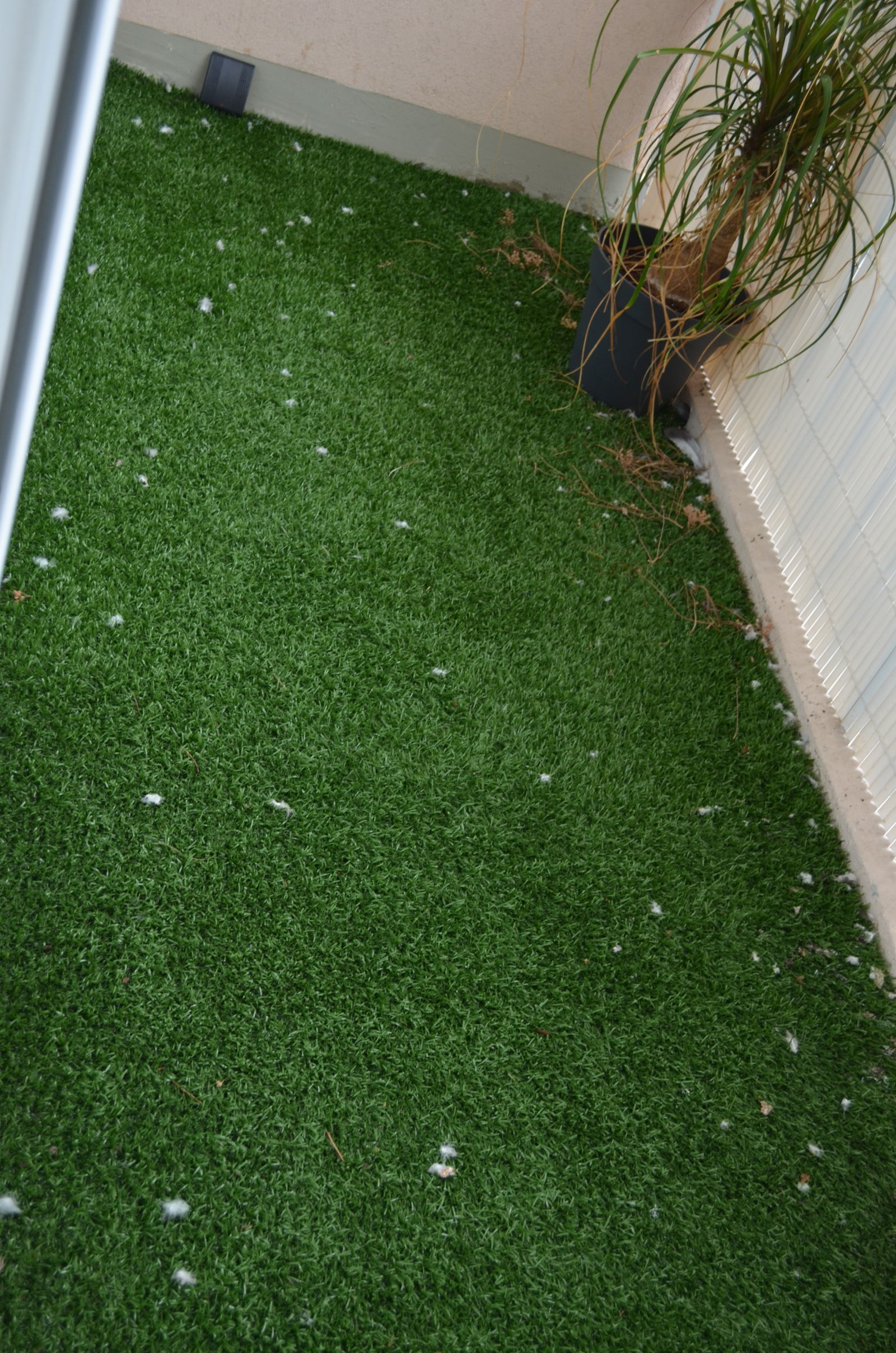 Järjestäminen Les Ulis 177126