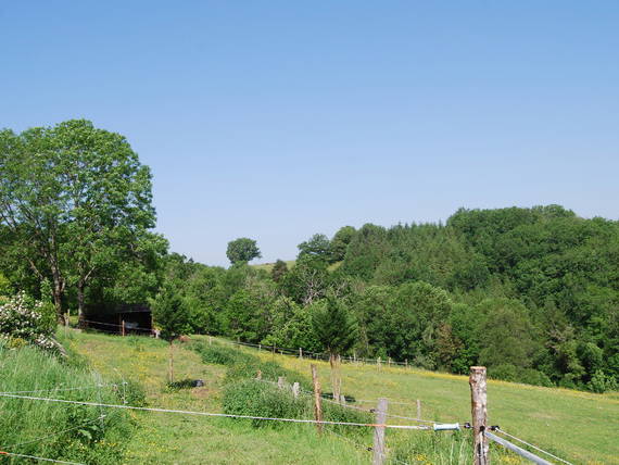 Chambres D'hôtes Sérénac 20233-3