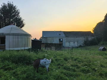 Chambre À Louer Havelange 437207