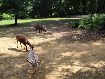 Logement Entier Gensac-De-Boulogne 123547-8