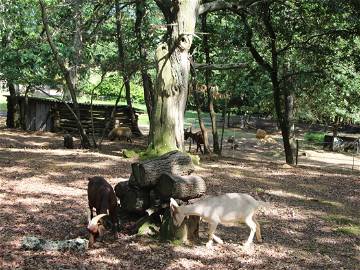 Logement Entier Gensac-De-Boulogne 123547-9