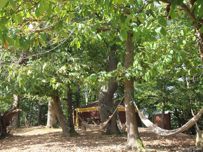 Ganzes Haus Gensac-de-Boulogne 123547-2