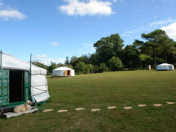 Roomlala | Yurt Bed en Ontbyt (3 Yurts) 