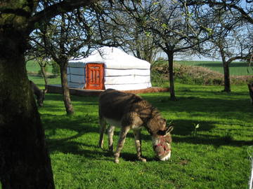 Roomlala | Yurta De Invitados En Una Antigua Granja