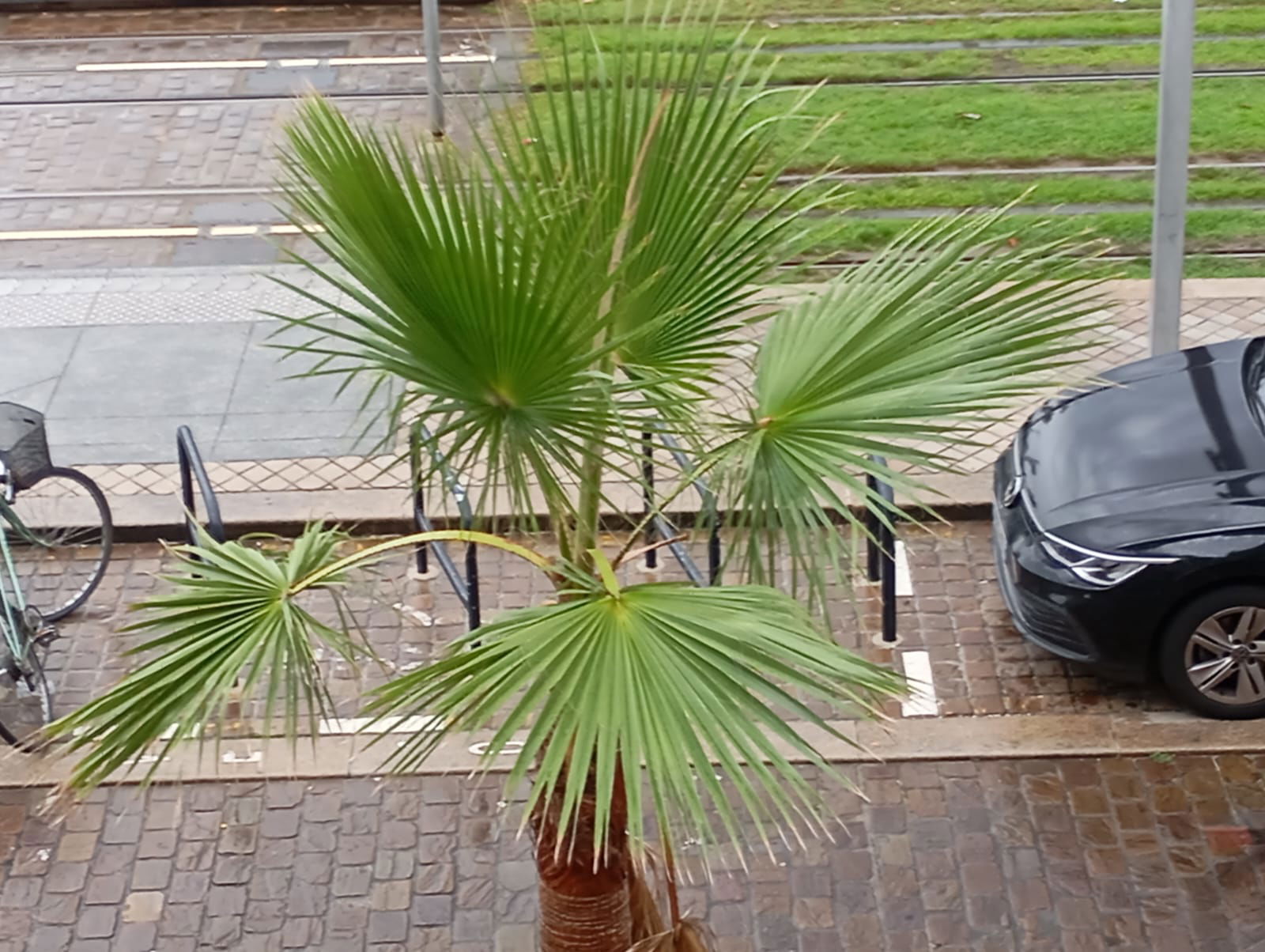 Colocatie Bordeaux 425607