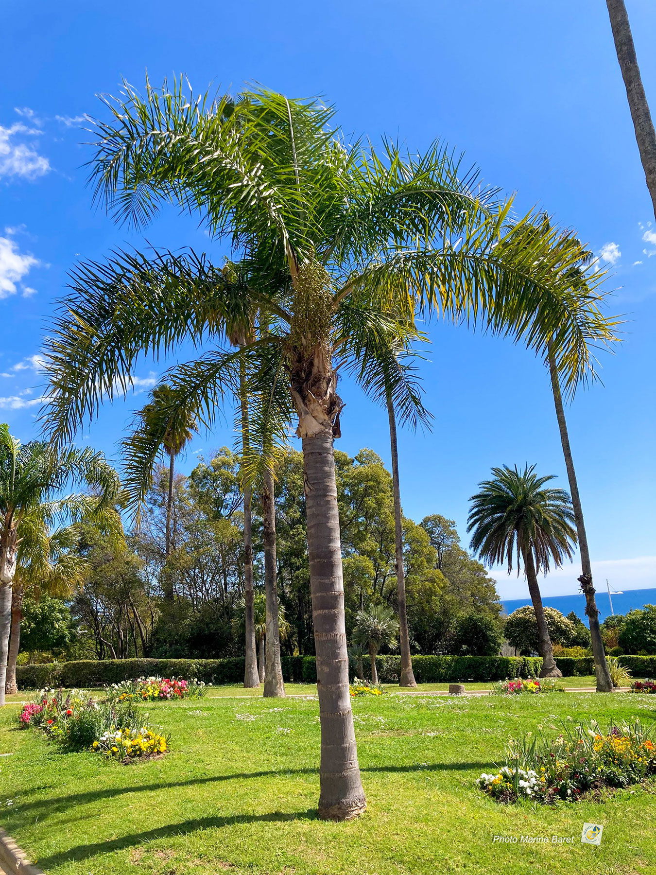 Gehele Woning Toulon 552244