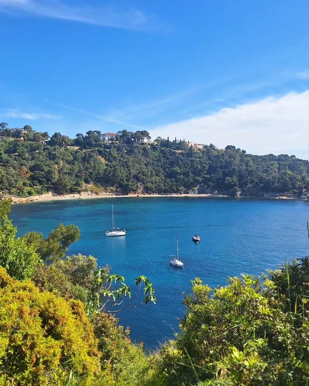 Gehele Woning Toulon 552244