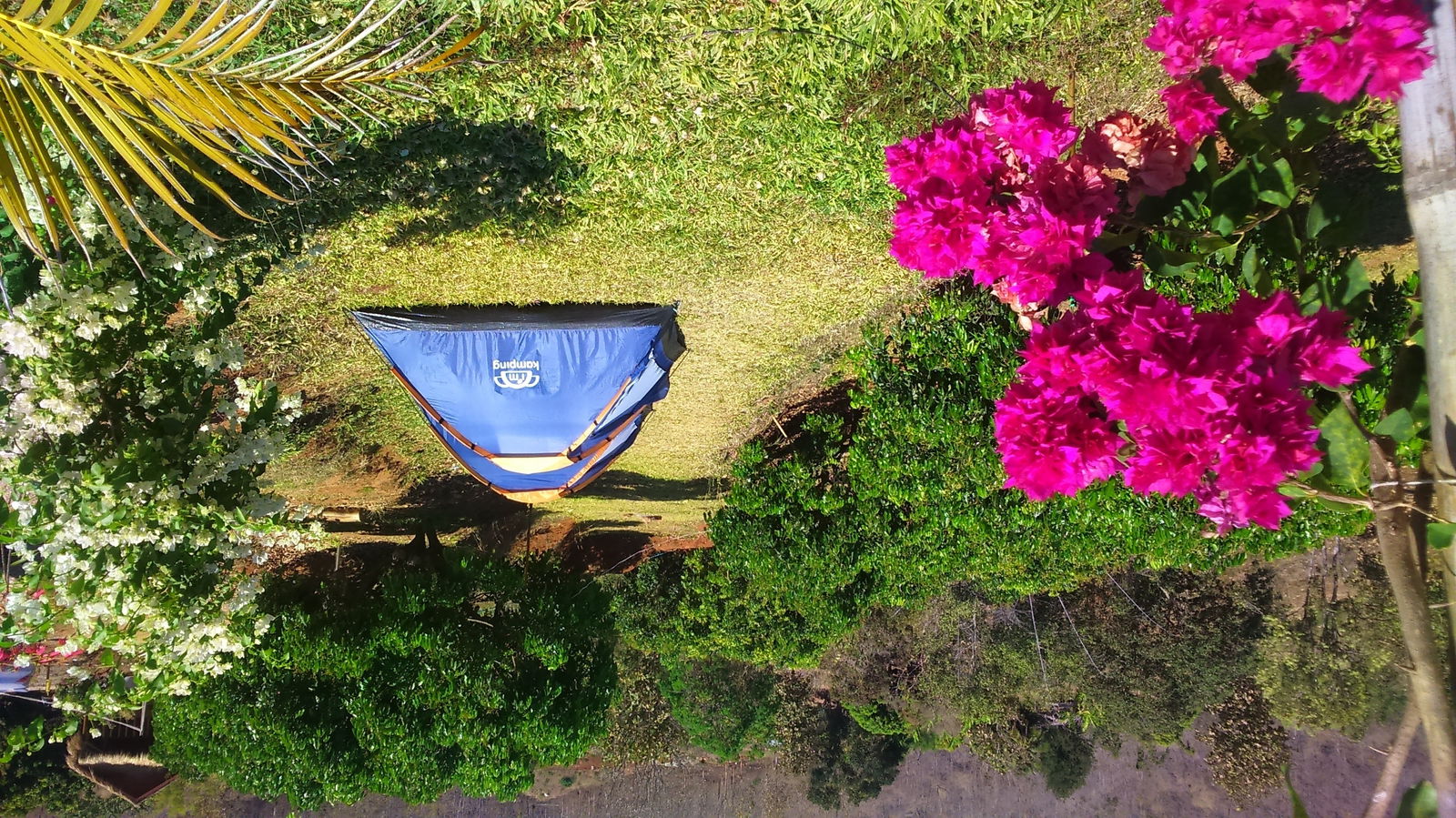 Unabhängiges Studio Chiang Mai 149663