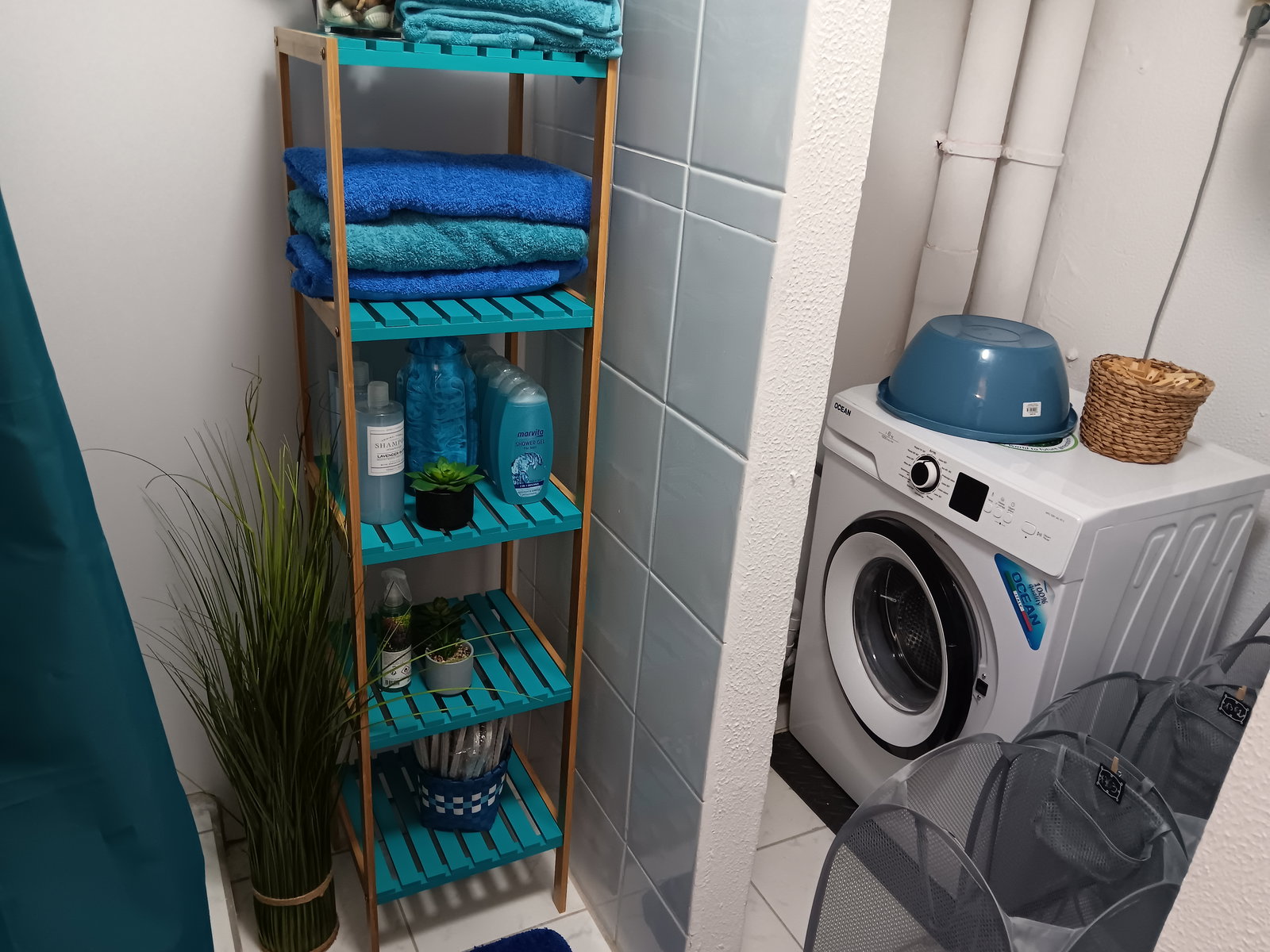 Colocation Pointe-à-Pitre 606221