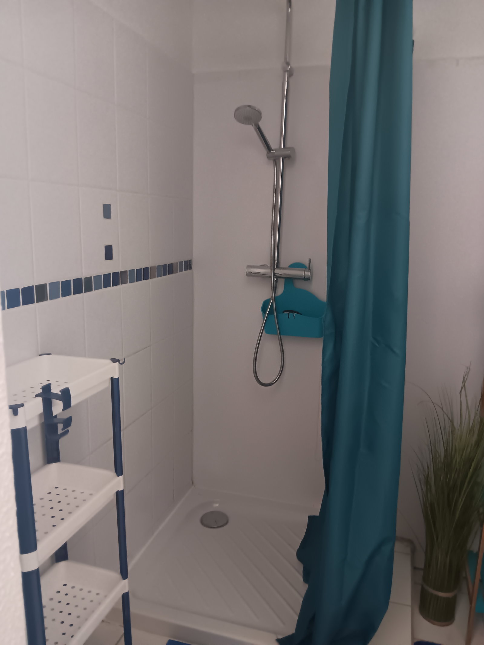 Colocation Pointe-à-Pitre 606221