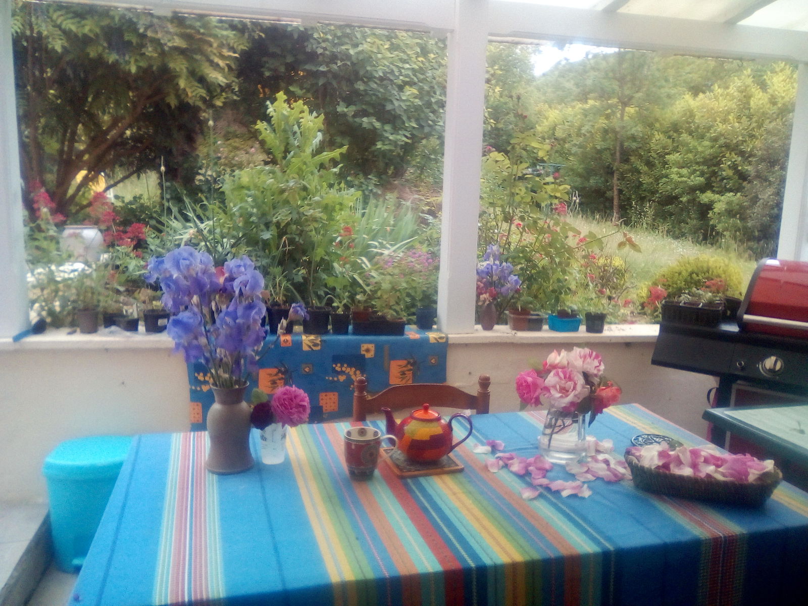 Homestay Lamaguère 154973