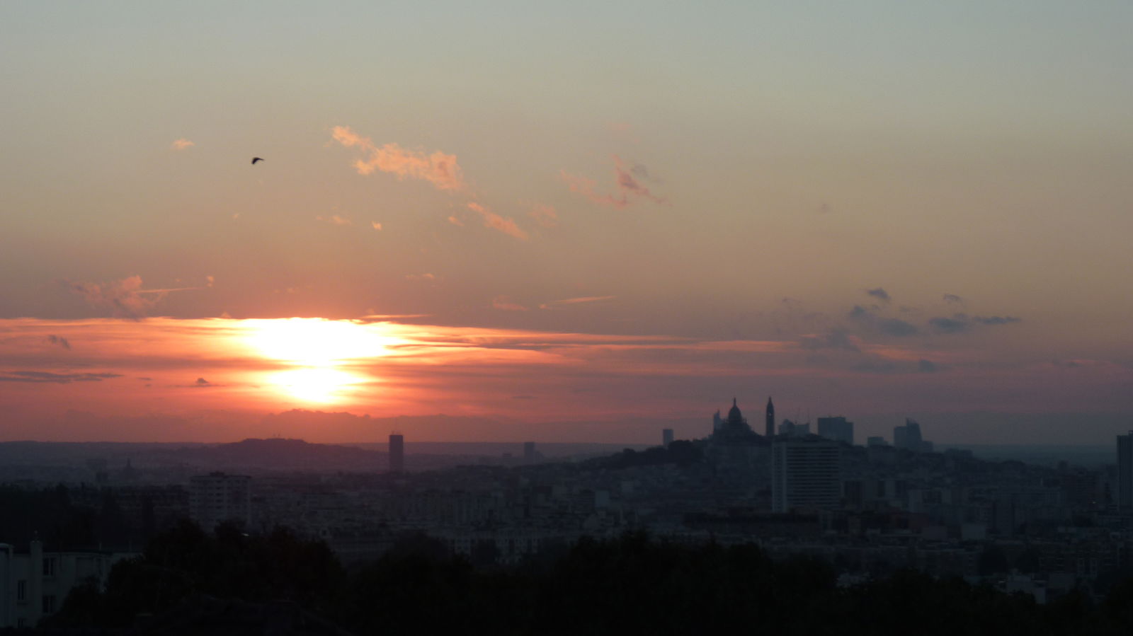 Homestay Les Lilas 148080