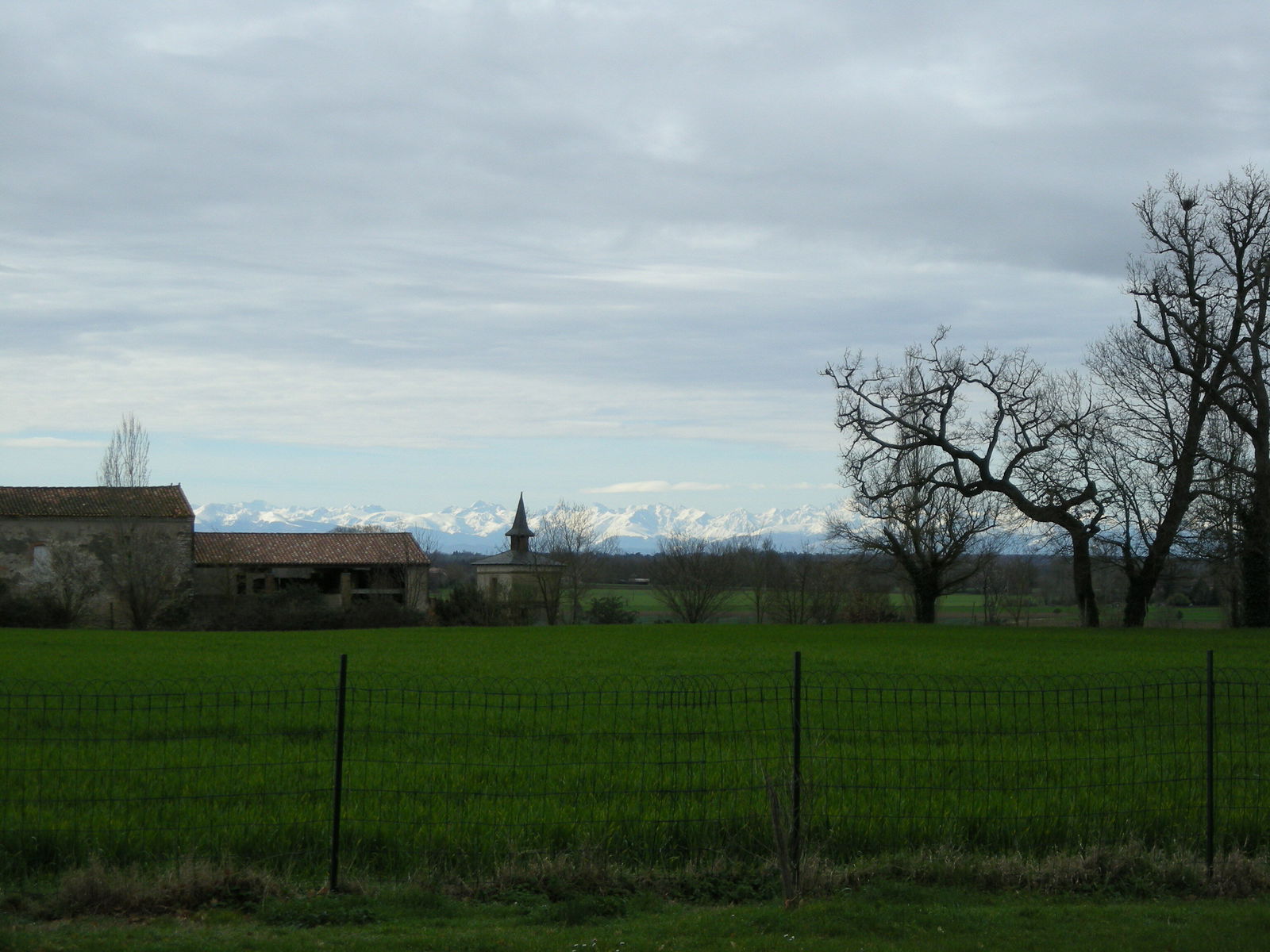 Homestay Palleville 141002