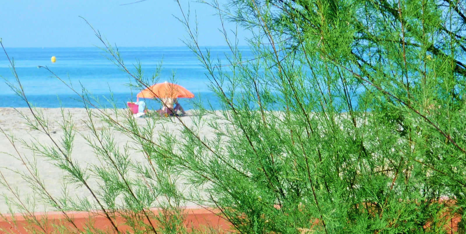 Homestay Bastia 234827