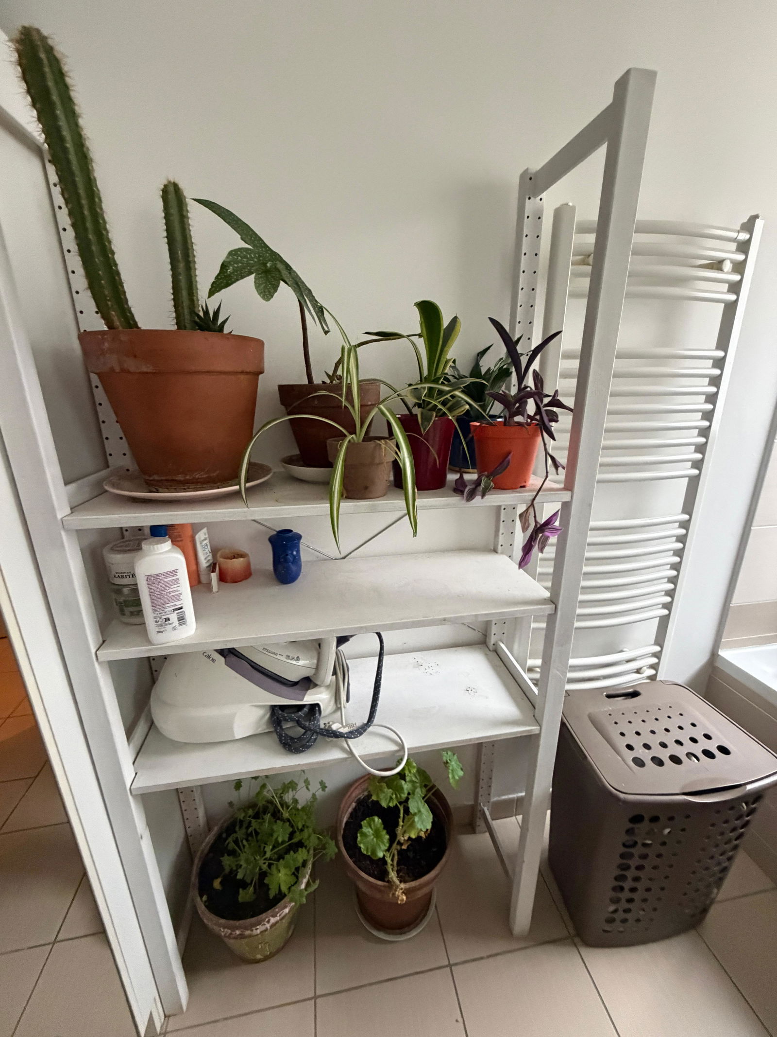 Homestay Décines-Charpieu 657373