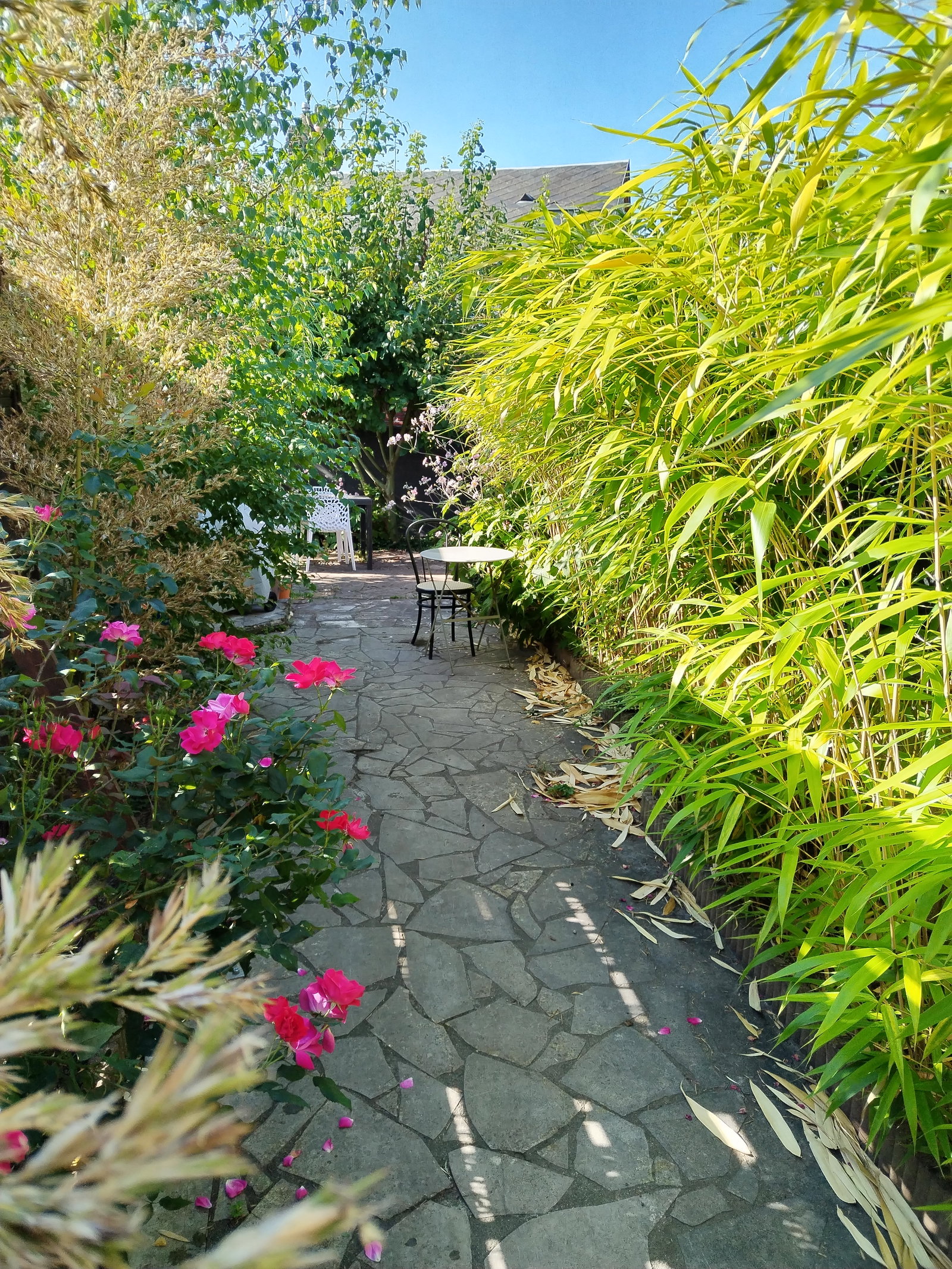 Homestay Darnétal 599133