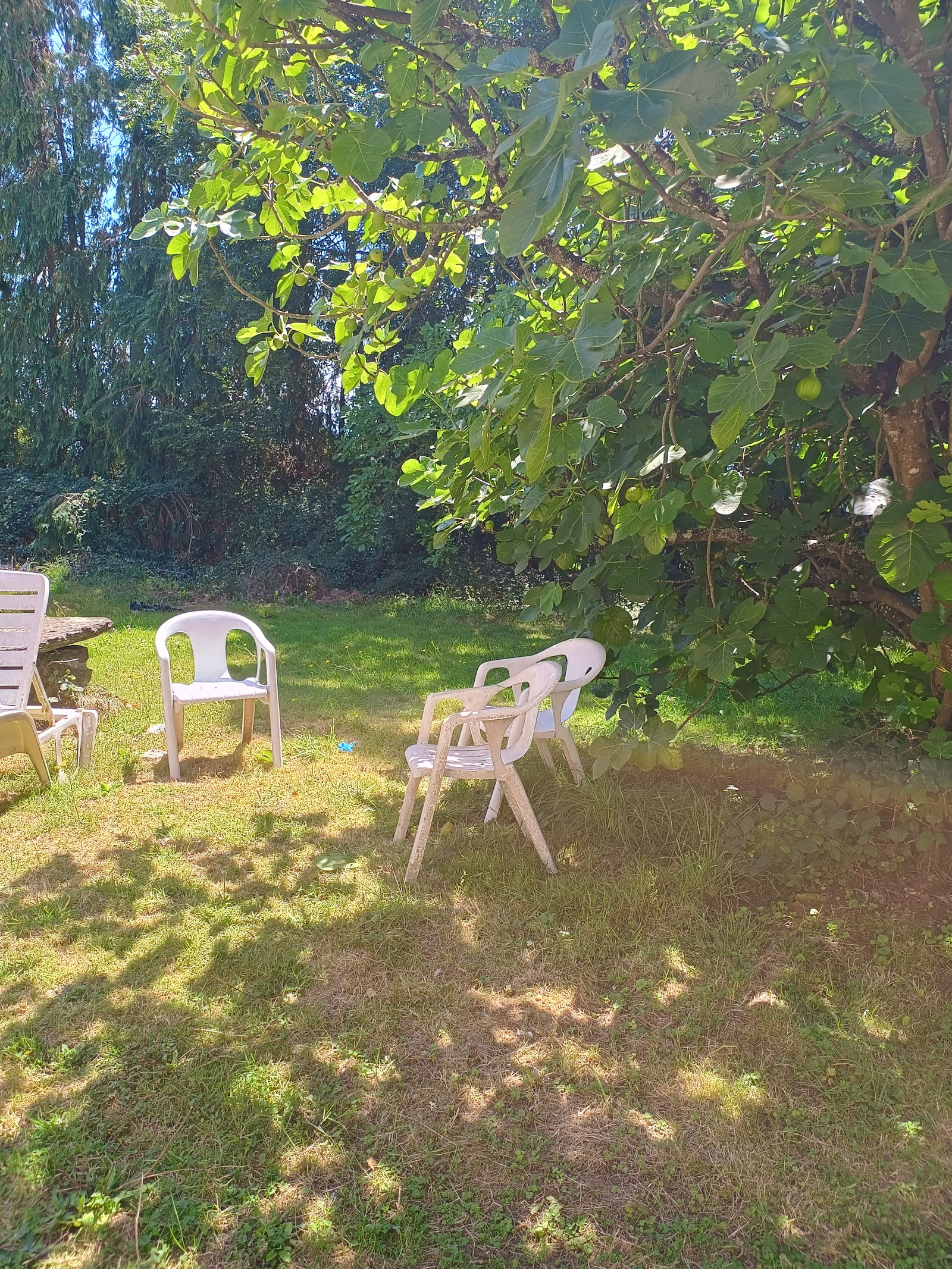 Homestay Saint-Lô 577575