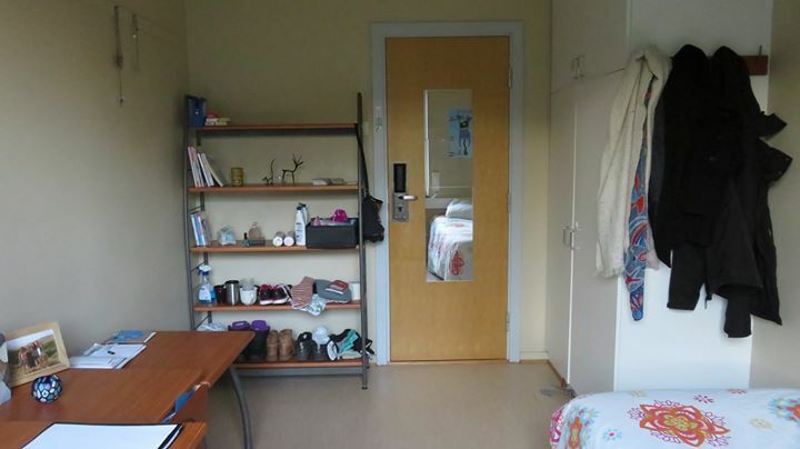 Colocation Oslo 133390