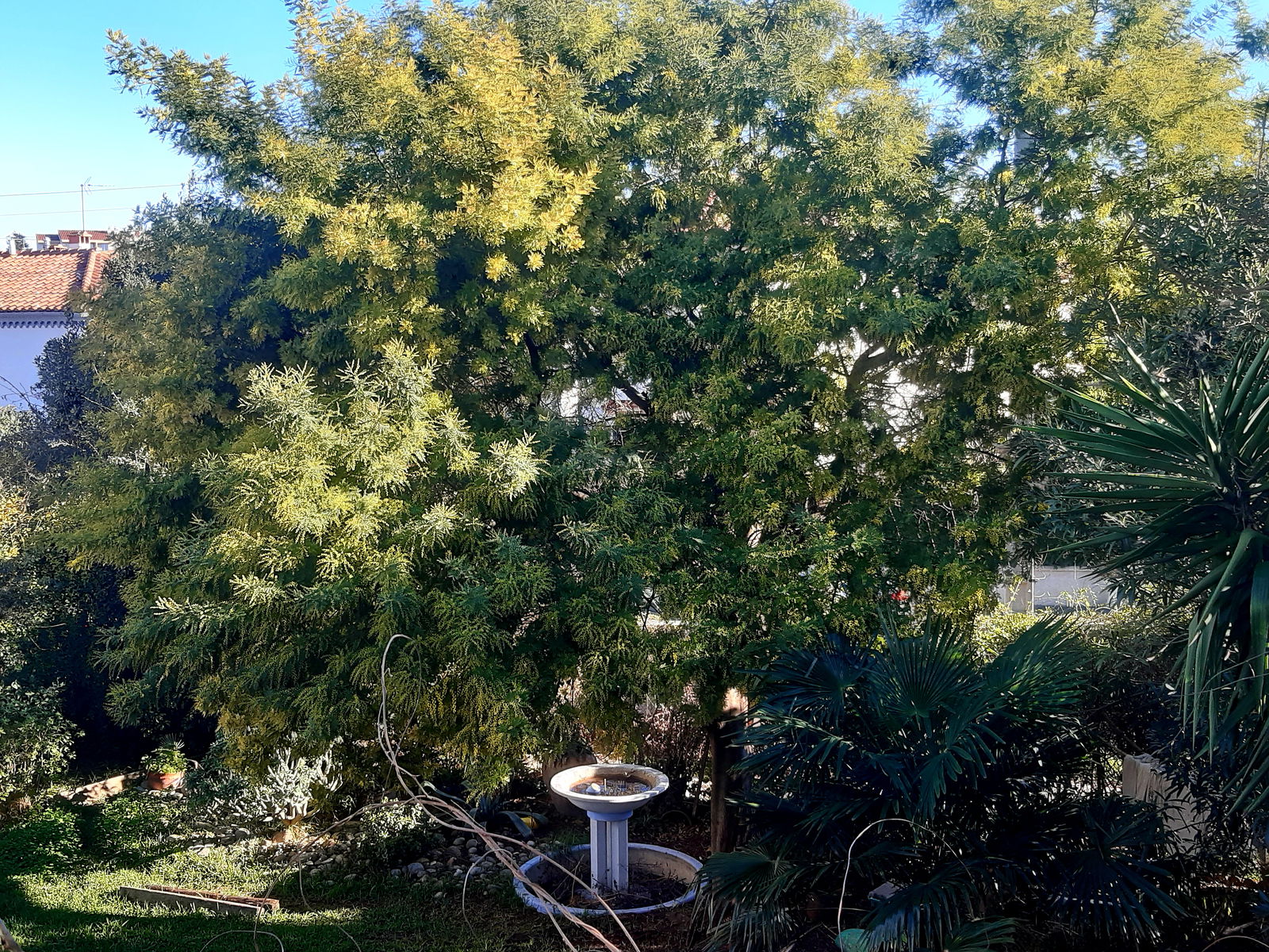 Homestay Perpignan 653170