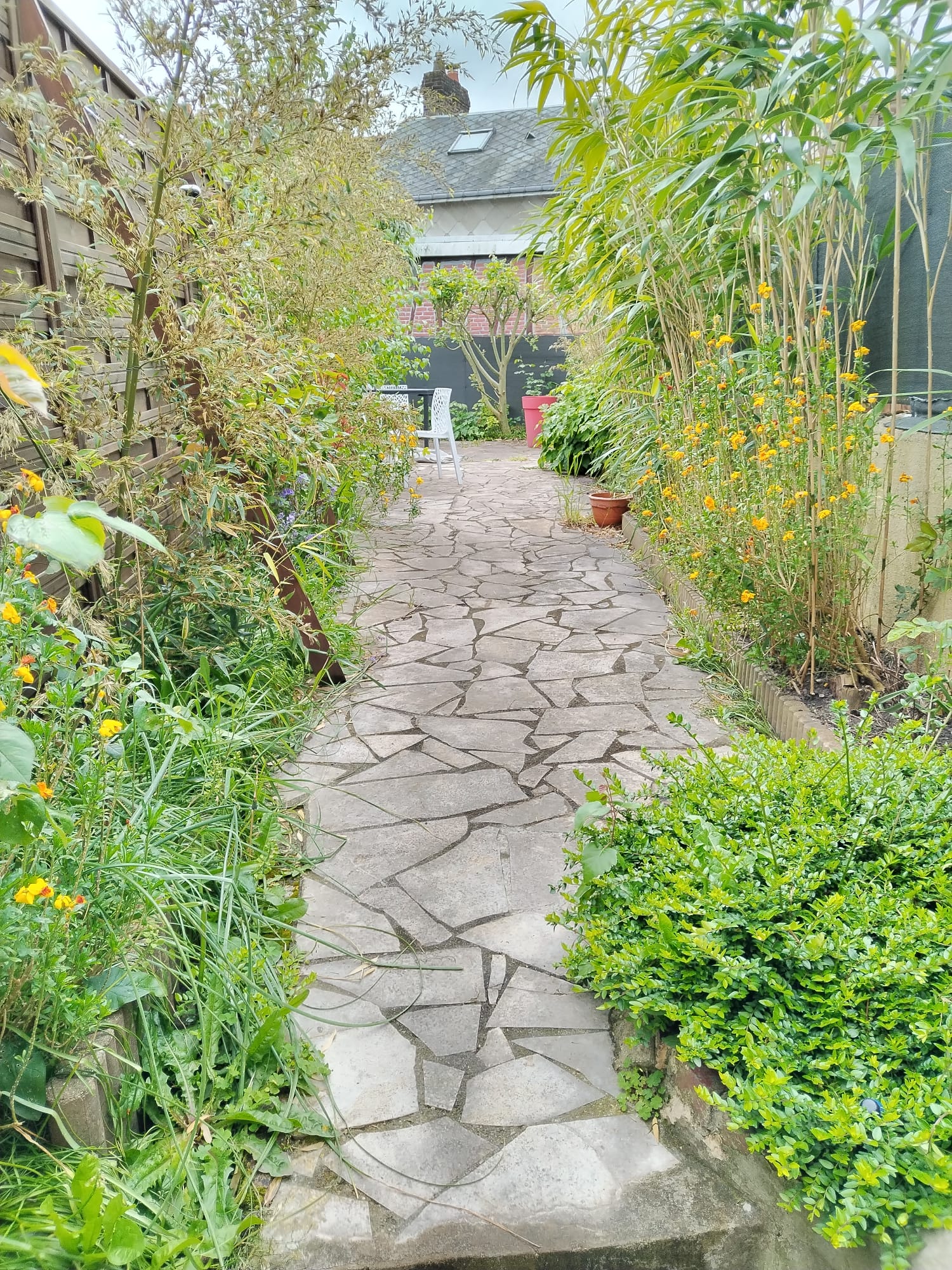 Homestay Darnétal 609128