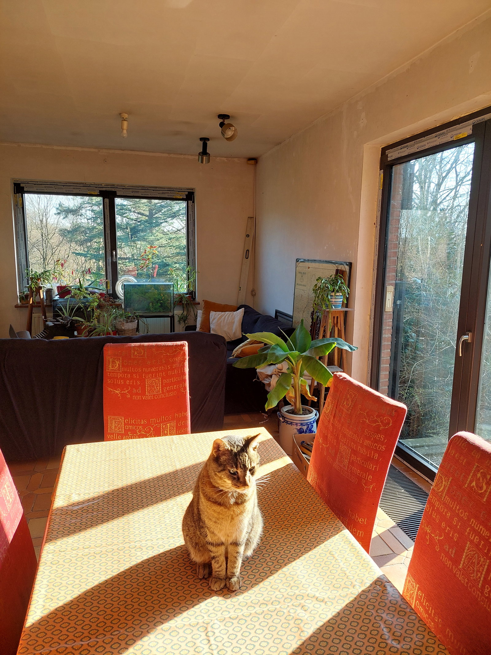 Homestay Fléron 447962