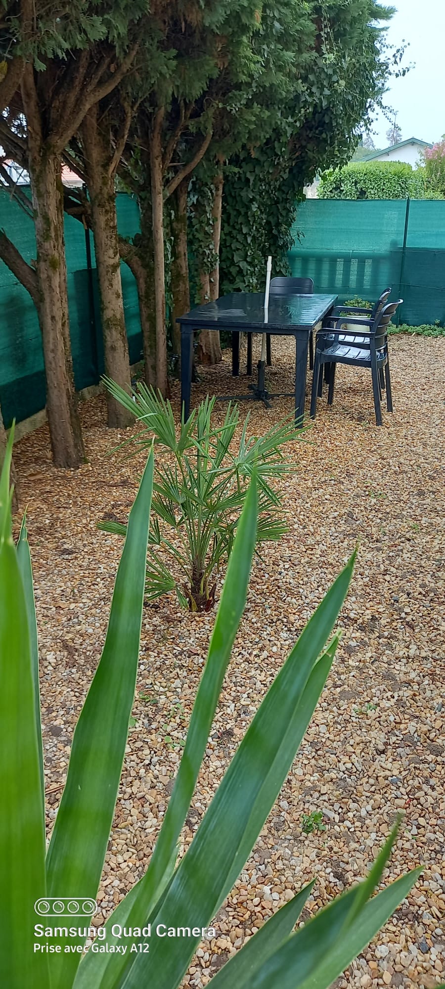 Homestay Villenave-d'Ornon 433042