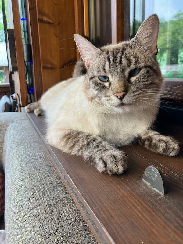 Gaascht Zëmmeren Morillon 581722