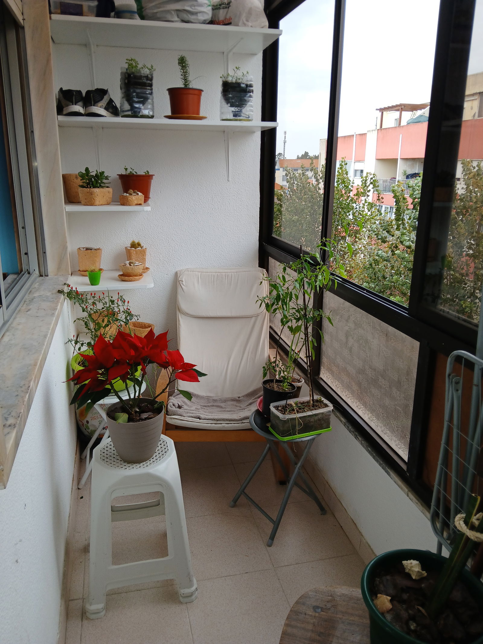 Homestay Pinhal Novo 455879