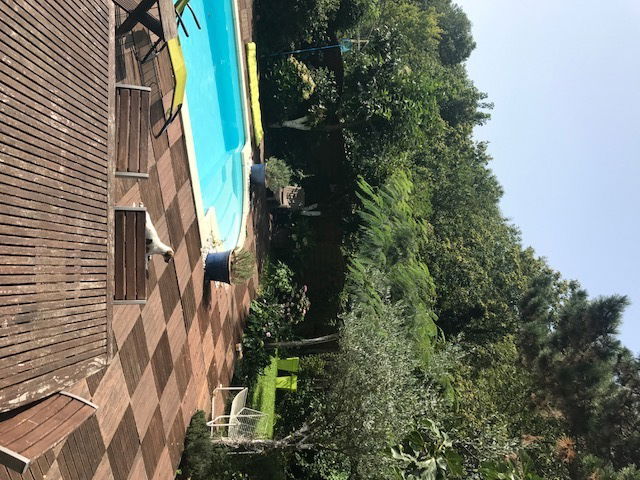 Homestay Massy 181104