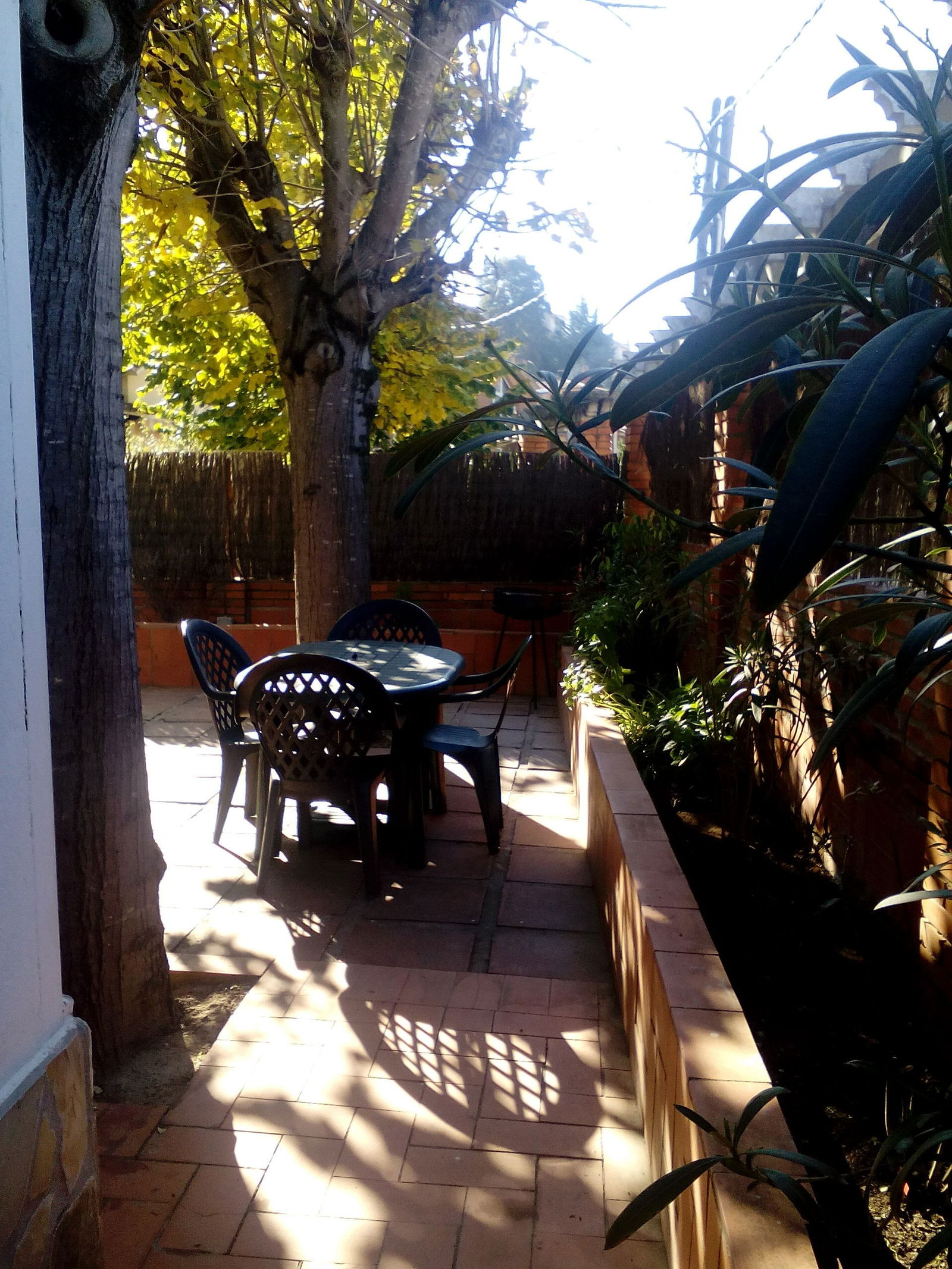 Homestay Cataluña 149237