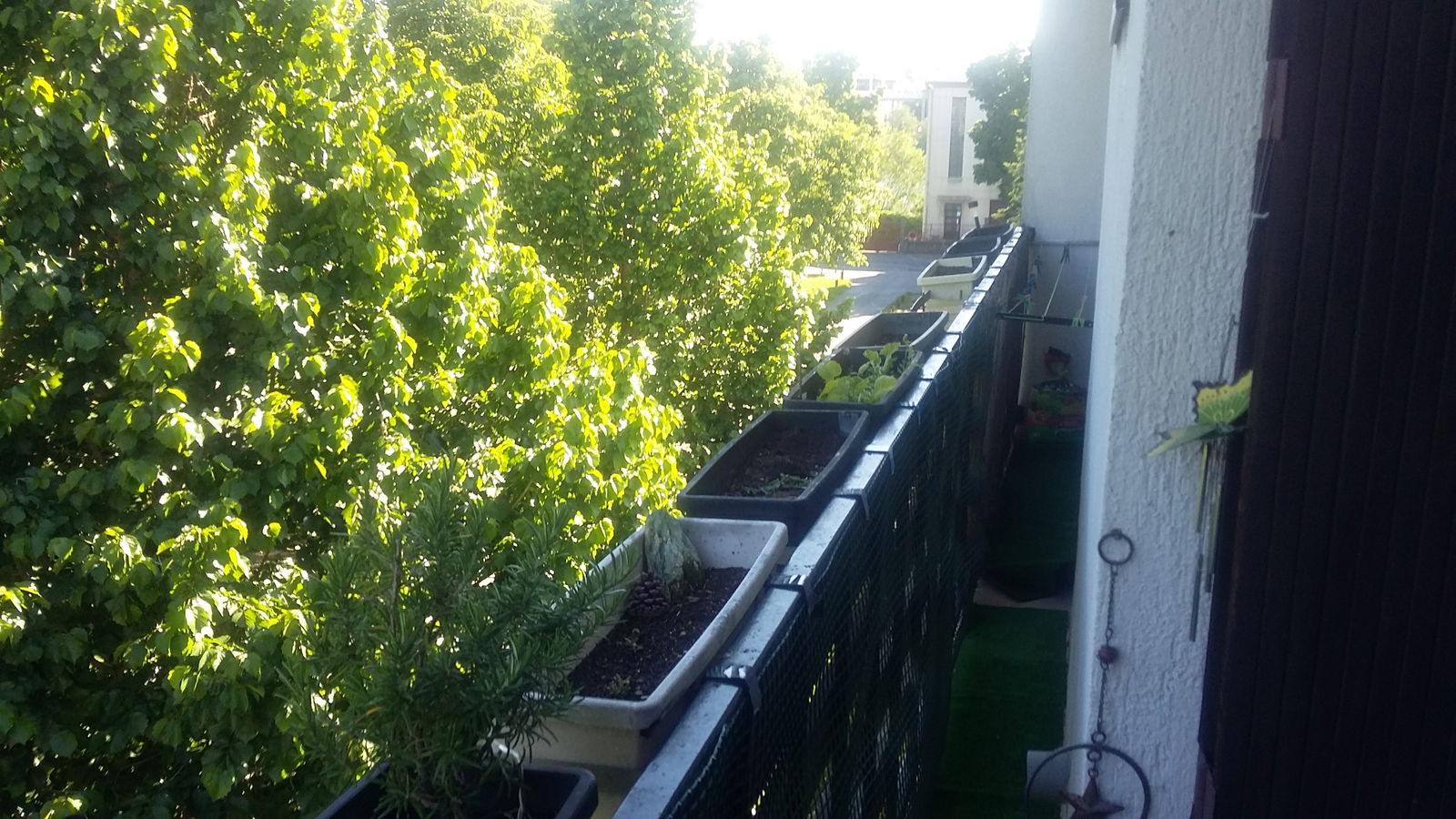 Homestay Choisy-le-Roi 250920